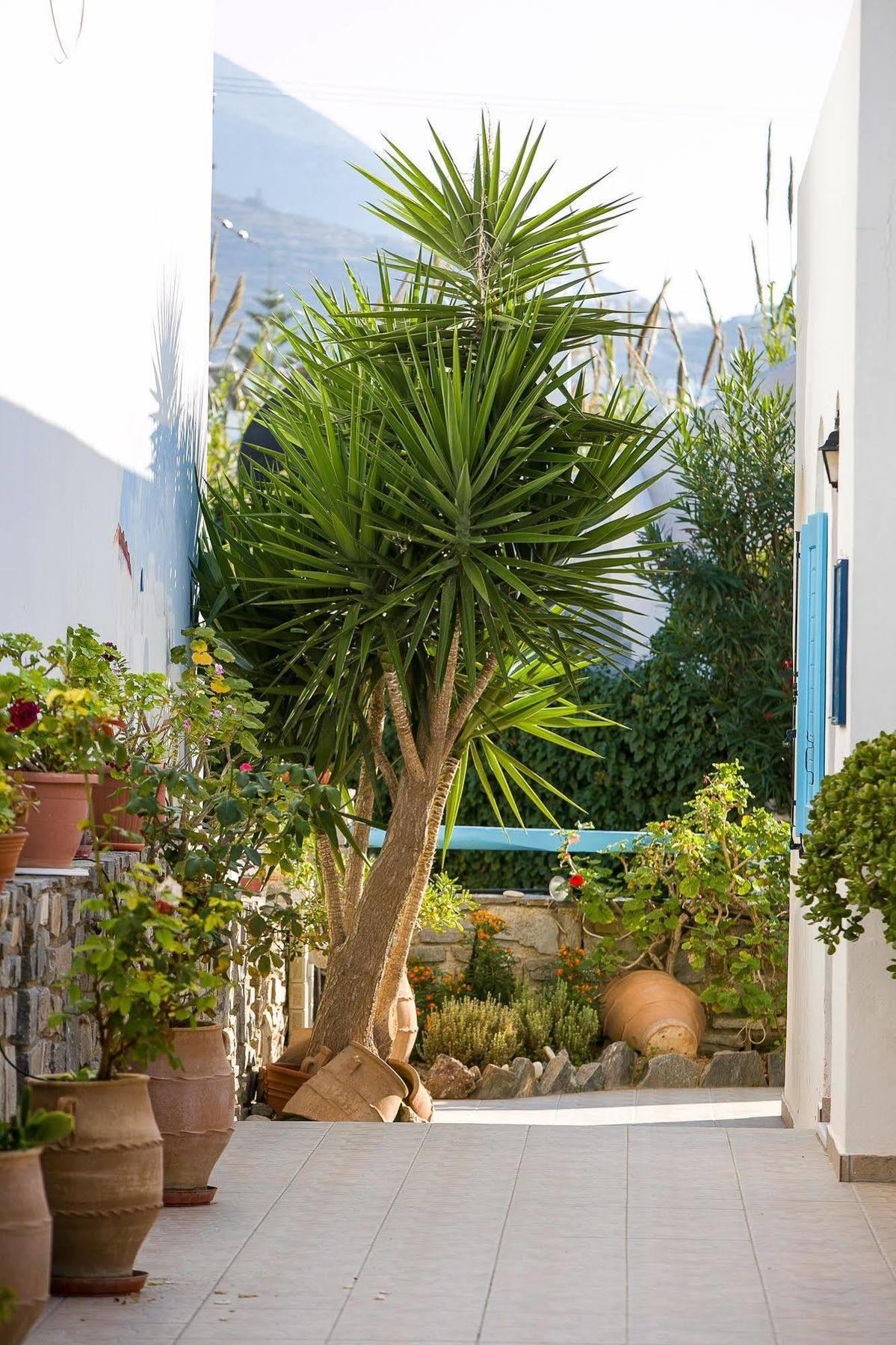Joseph Apartments Parikia  Luaran gambar